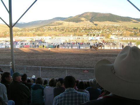 1996 Ford Bronco - A rodeo is underway with a bull rider in action, viewed from the stands.