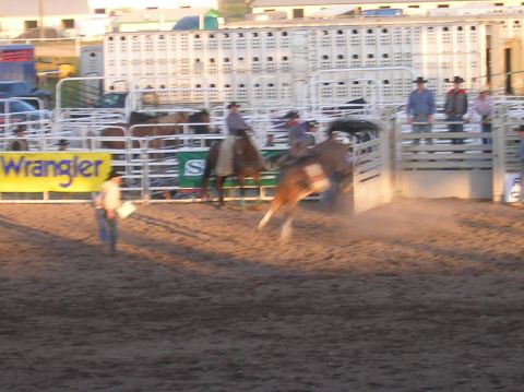 1996 Ford Bronco - A rodeo event is underway with a bull bucking and a rider attempting to stay on.