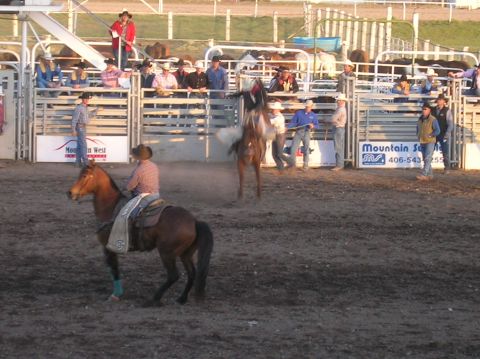 1996 Ford Bronco - A rodeo event unfolds in an arena, a bucking horse and rider, with spectators watching from the stands.