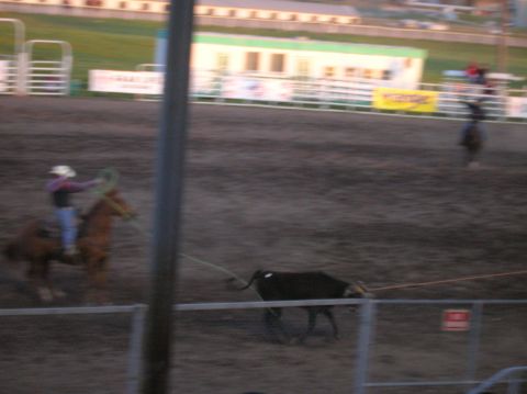 1996 Ford Bronco - A rodeo event is underway with a cowboy and steer in the dirt arena.