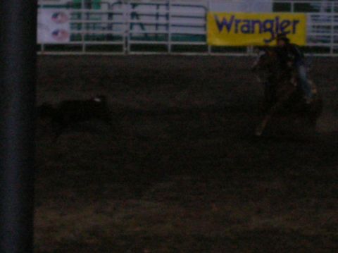 1996 Ford Bronco - A bull rider competes in a rodeo event, with a Wrangler banner visible in the background.