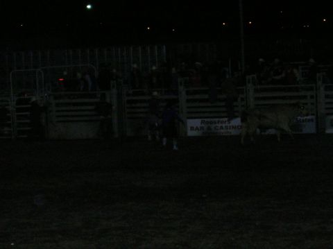 1996 Ford Bronco - A bull is in the arena at night during a rodeo event with spectators in the background.