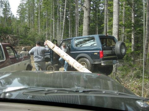 1992 Ford Bronco - People moving a large log near a 1992 Ford Bronco and another truck in a wooded area.