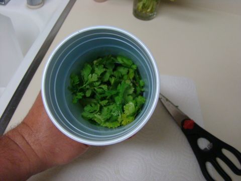 1989 Ford Bronco - Freshly chopped cilantro is ready for use in a blue plastic cup, with scissors nearby.