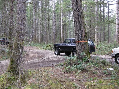 1992 Ford Bronco - Black Ford Bronco parked off-road in a wooded area with another vehicle nearby.