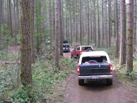 1992 Ford Bronco - A convoy of SUVs navigates a wooded trail, kicking up dust on the path ahead.