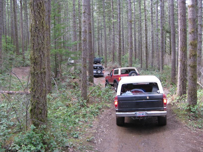 Several off-road vehicles driving on a dirt path through a dense forest