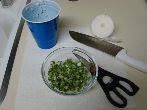 1989 Ford Bronco - Ingredients for salsa are prepped on a kitchen counter, ready for mixing.