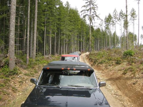 1992 Ford Bronco - A line of SUVs, including a 1992 Ford Bronco, navigate a dirt road through a dense forest.