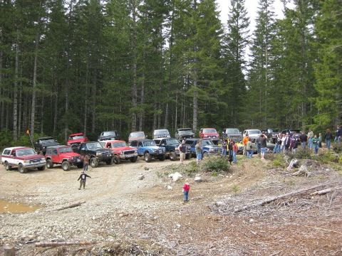 1992 Ford Bronco - A gathering of SUVs and trucks in a forest clearing, with many people observing the vehicles.