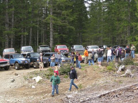 1992 Ford Bronco - A group of people stand around several Ford Broncos and other SUVs in a wooded area during an event.