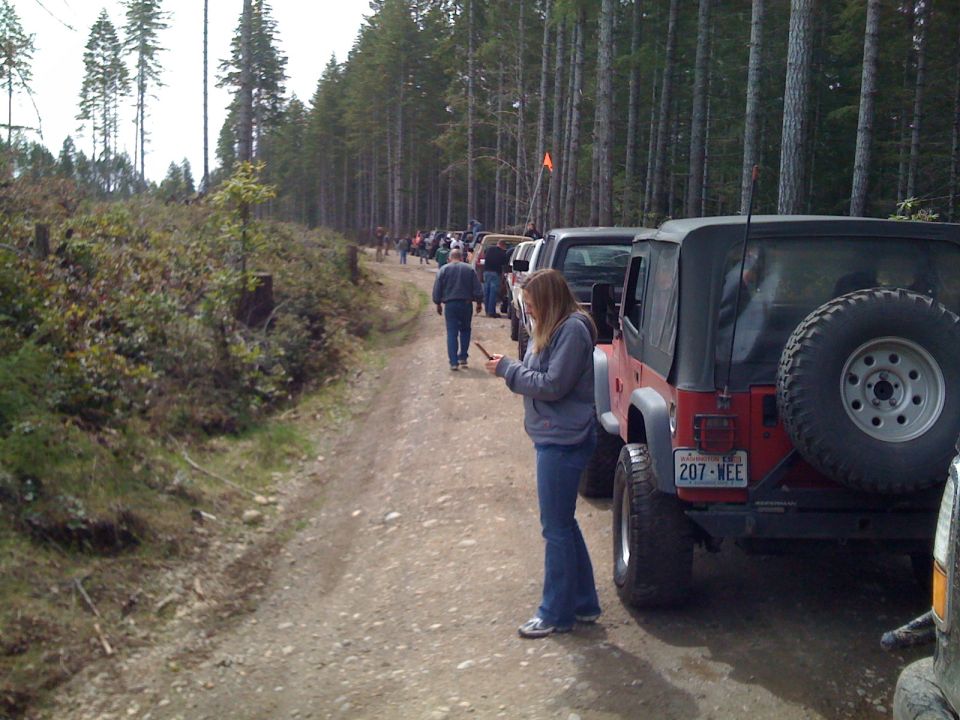 Line of Jeeps parked on a dirt road in a forest, with people standing around
