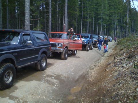 1992 Ford Bronco - A convoy of SUVs and trucks navigates a wooded trail, with one vehicle stopped and its door ajar.