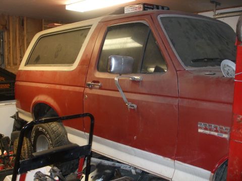 1988 Ford Bronco - This red Ford Bronco is parked indoors, showing its side profile with a white trim along the bottom.