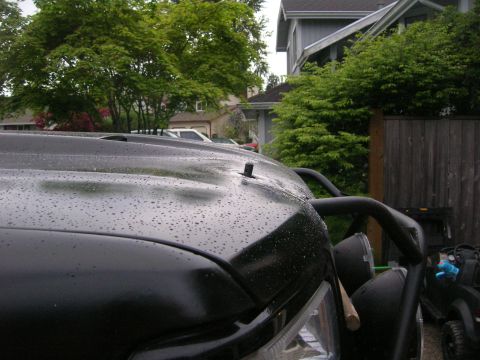 1996 Ford Bronco - Close-up of a black SUV's hood covered in raindrops, with a bull bar and antenna visible.