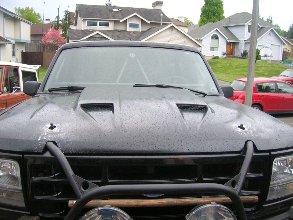 Front of black Ford truck with hood scoops and tubular grille guard in a driveway