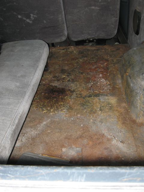1986 Ford Bronco - The interior floor of the vehicle shows significant rust and discoloration, with rear seats visible.