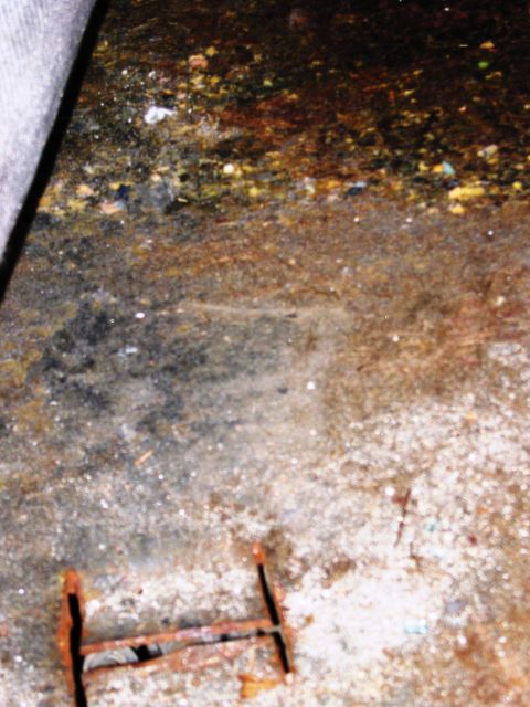 1986 Ford Bronco - The interior floor of a vehicle shows significant rust and debris, with a Supermotors.net watermark visible.