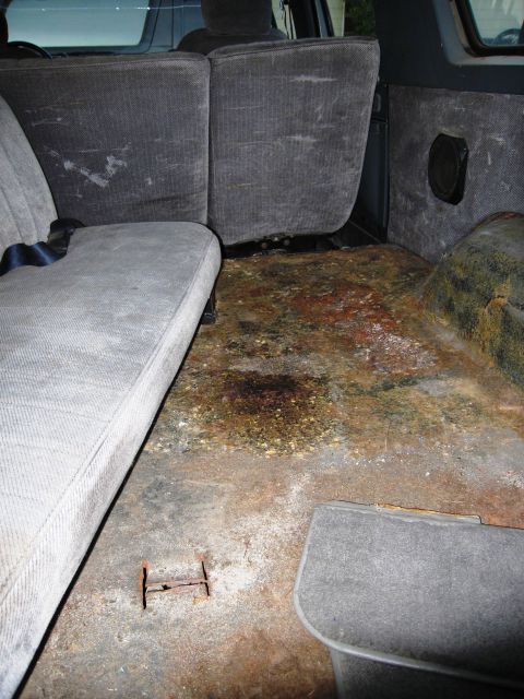 1986 Ford Bronco - Rear cargo area of an SUV with the carpet stripped out, exposing a dirty, surface-rusted and stained sheet-metal floor pan with a rusty sea…