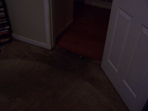 1978 Ford Bronco - View of an interior doorway with a white door, leading to a wooden floor and dark carpet.