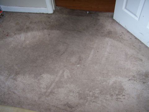 1978 Ford Bronco - The carpet shows significant water damage and discoloration, indicating a leak or spill.