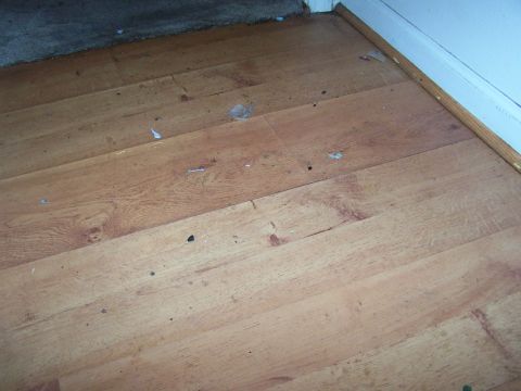 1978 Ford Bronco - A close-up view of a wooden floor showing scattered debris and the edge of a carpeted area.