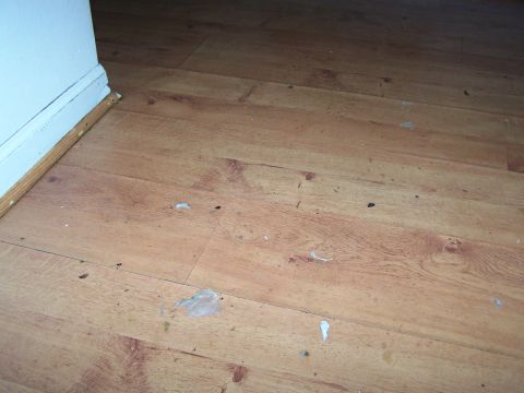 1978 Ford Bronco - The image shows a close-up view of a wooden floor with some debris scattered on its surface.