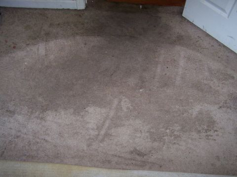 1978 Ford Bronco - A concrete floor shows water stains near a white door frame and a white door.