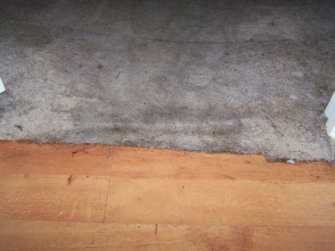 1978 Ford Bronco - The edge of a carpet shows water damage where it meets a wooden floor.