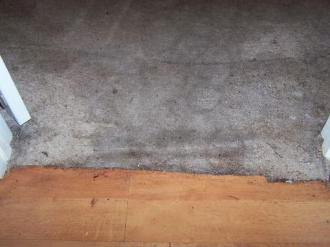 1978 Ford Bronco - The image shows a worn carpet meeting a wooden floor, with a white door frame on the left side.