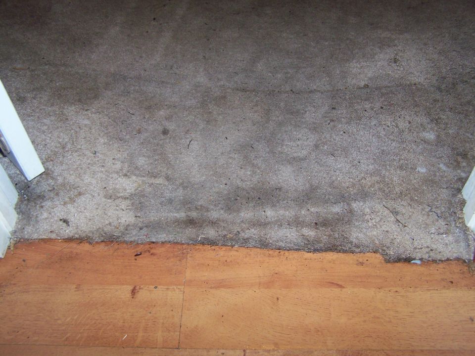 Transition between worn carpet and wood flooring with a white door frame visible on the left