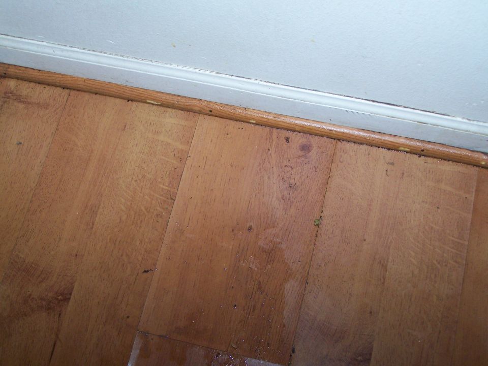 Wooden floor with baseboard and white wall. Debris is visible on the floor