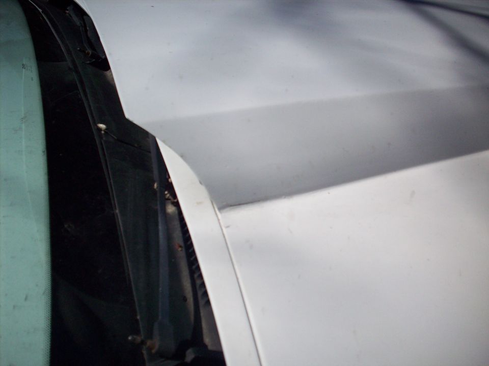 White car hood and black windshield pillar with dirt and debris