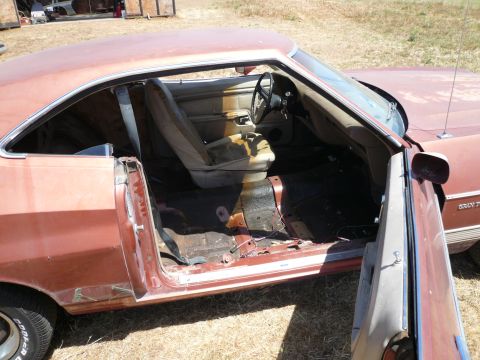 1975 Ford Ranchero - The interior of a 1975 Ford Ranchero is visible with its doors open, revealing worn seats and a stripped floor, rusty floor.