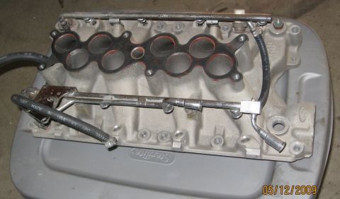 1994 Ford Bronco - Ford intake manifold with fuel rails and hoses, likely from a V8 engine.