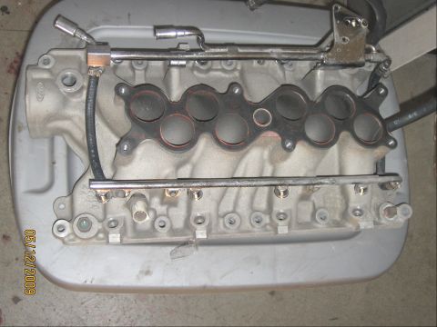 1994 Ford Bronco - Close-up of a Ford V8 intake manifold, showing fuel rails and injector ports.