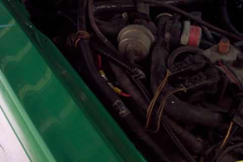 2001 Ford Crown Victoria - Close-up view of an engine bay, showing various hoses, wires, and a green fender.