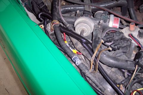 2001 Ford Crown Victoria - Engine bay wiring harness detail on a green vehicle.
