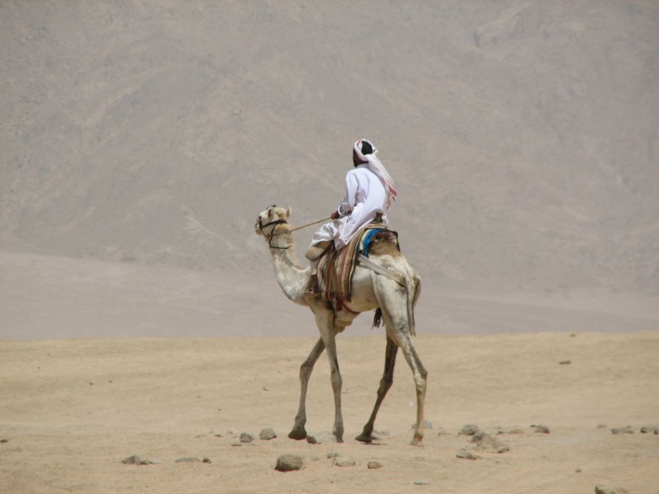 Bedouin near Peacekeeper