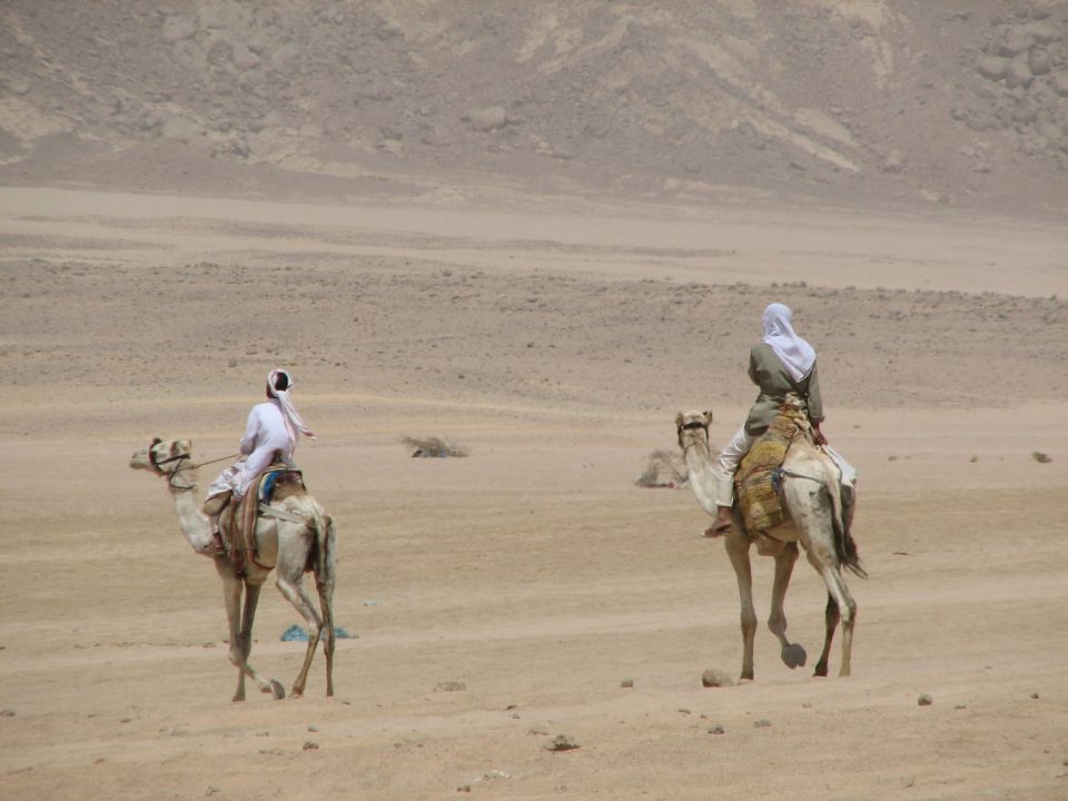 Two camels with riders in a desert landscape. The camel on the left is closer and facing left. The camel on the right is further away and facing right