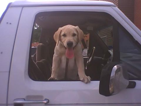 1992 Ford Bronco photo