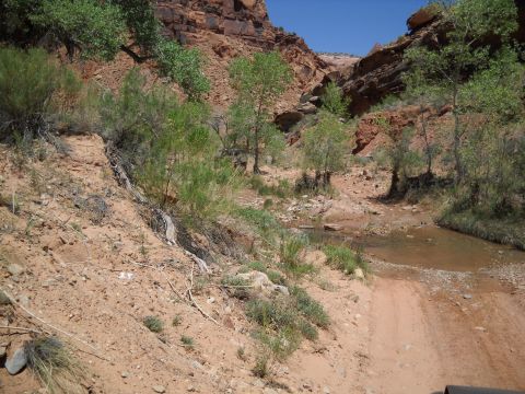 1986 Ford Bronco II - A dirt path winds through a dry, rocky canyon with sparse vegetation and a small stream.