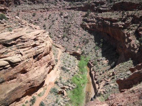 1986 Ford Bronco II - A dirt road traverses a canyon landscape, hinting at off-road adventures.