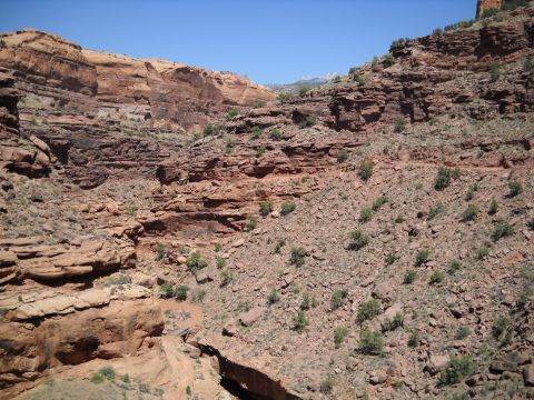 1986 Ford Bronco II - A vast desert canyon scene with layered rock formations and a winding dirt path below.