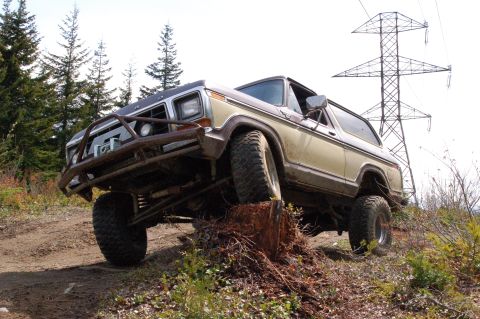 1979 Ford Bronco photo