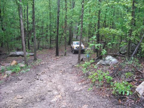 1979 Ford F-150 - A tan SUV navigates a muddy, wooded trail, surrounded by trees and rocks.