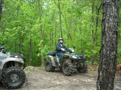 1979 Ford F-150 - Two ATVs are parked on a dirt path surrounded by dense green trees.