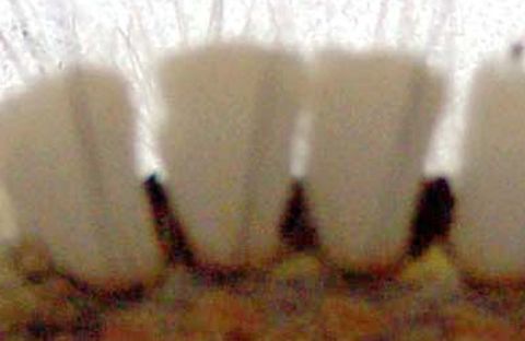 1971 Ford Ranchero - Detail of a vehicle grille, showing vertical bars and openings.