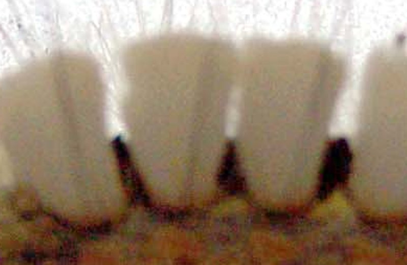 Close-up of vertical grille bars with dark openings between them