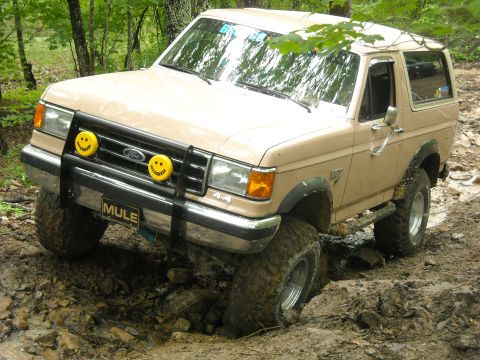 1979 Ford F-150 - This 1987 Ford Bronco is navigating a muddy trail with its front tires deep in the muck.